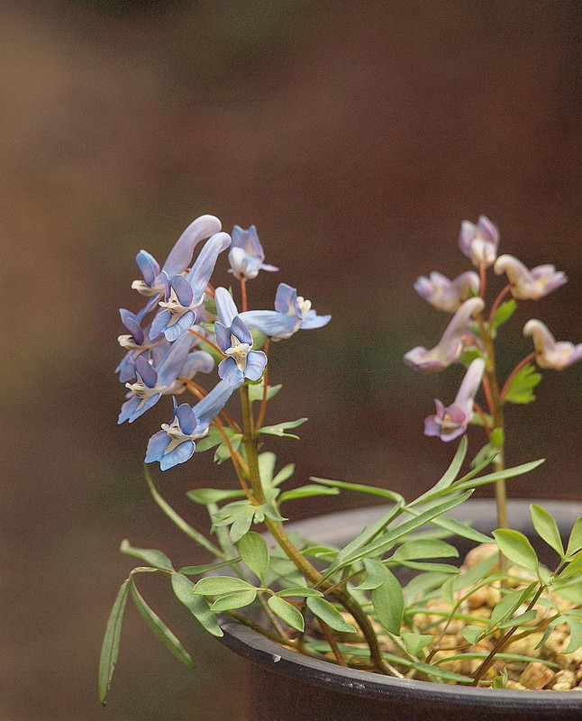 P3224867