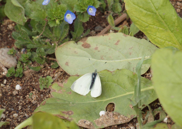 P3255185
