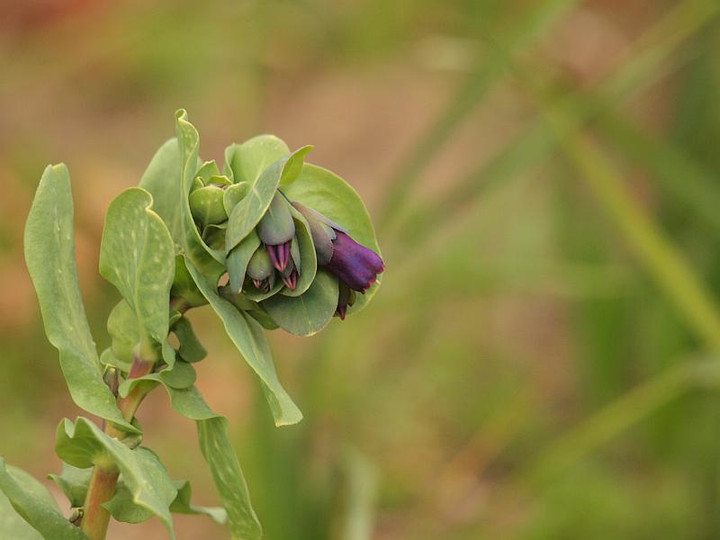 P3285567