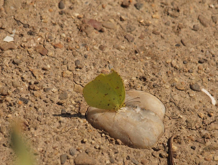 P3295602