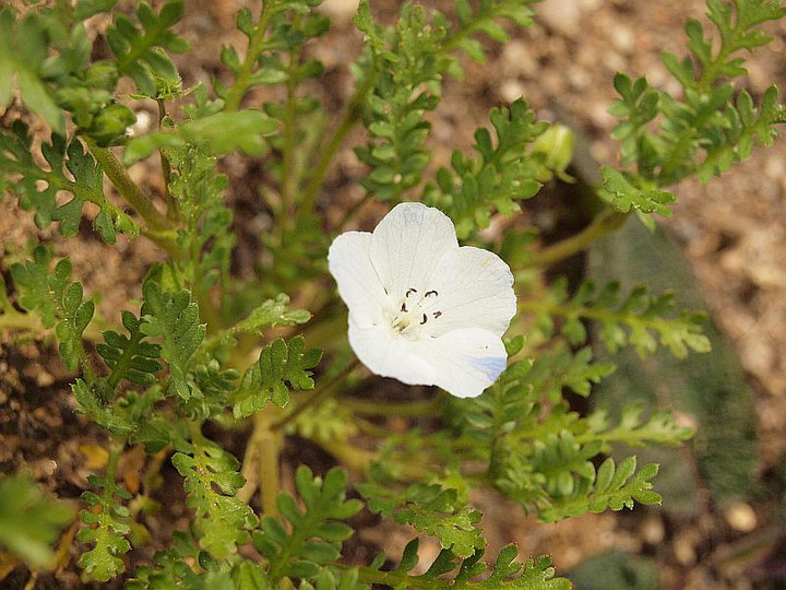 P3305656