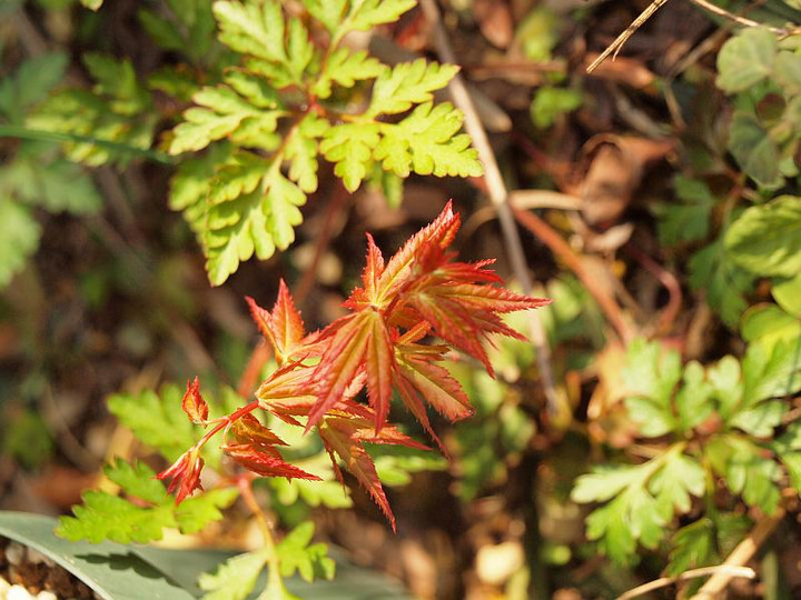 P3305662