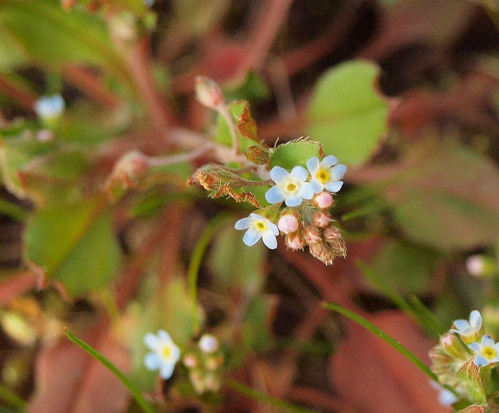 P3275495