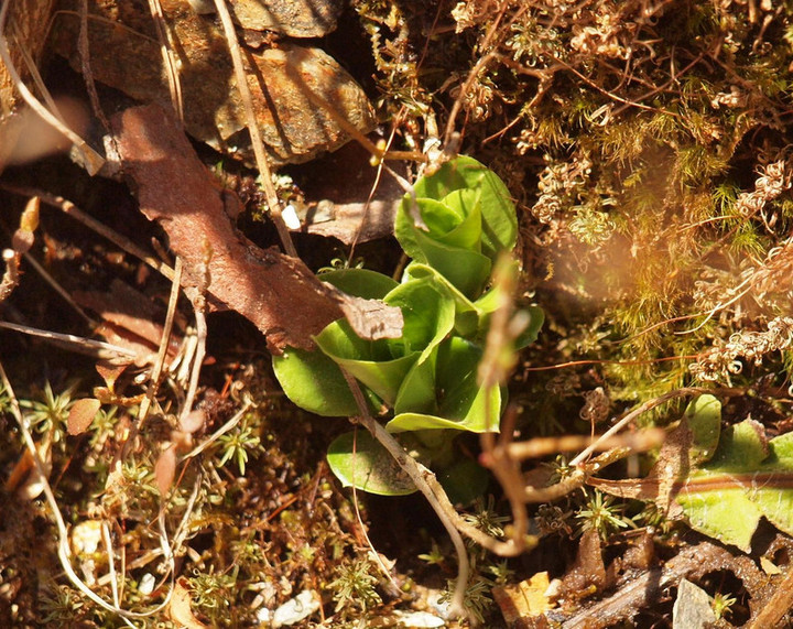 P4046277