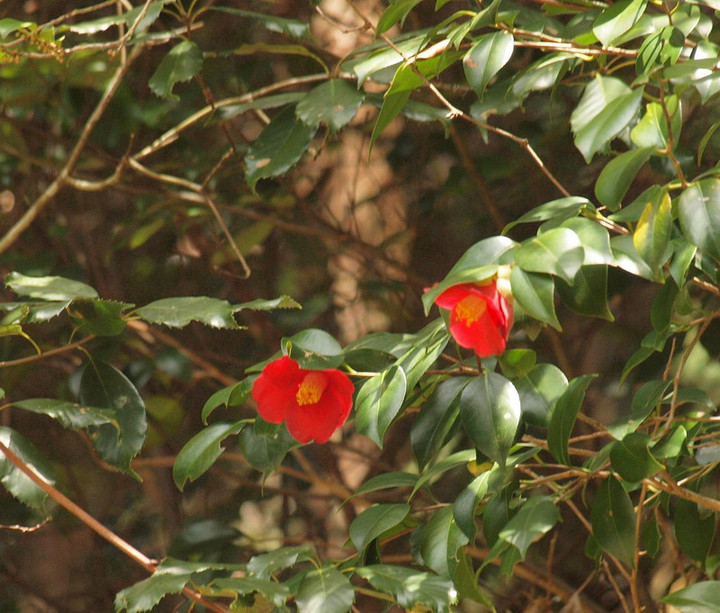 P4025947