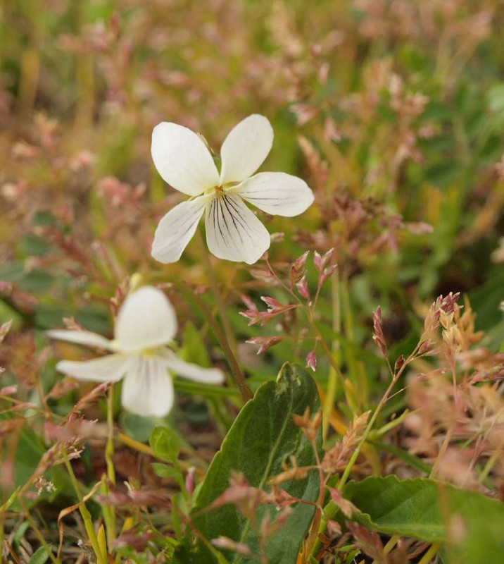 P4076703