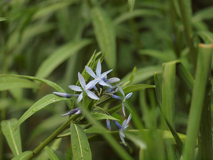 P4228255