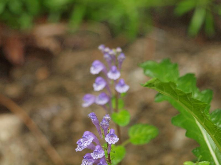 P5029569