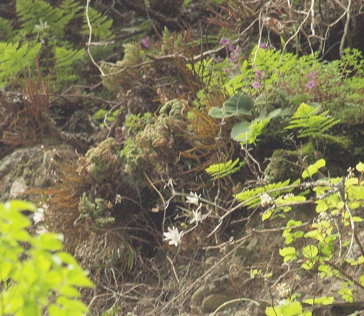 P5191416_2 P5191416_2