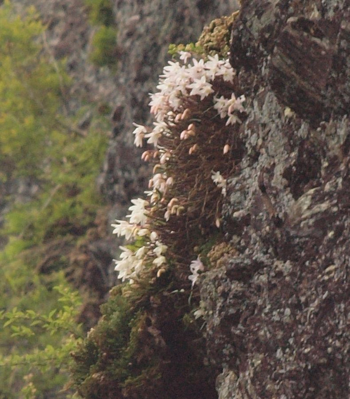 P5191423_2 P5191423_2