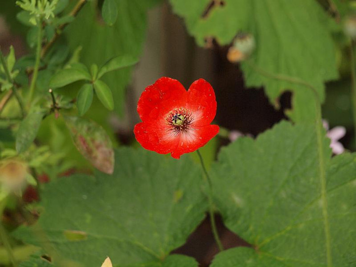 P5308761