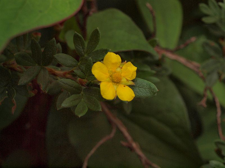 P5311919