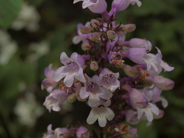 P6011977