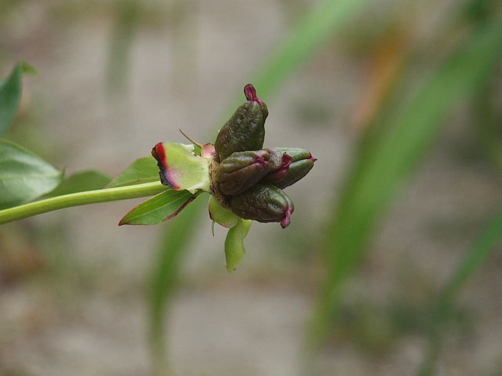 P6028992