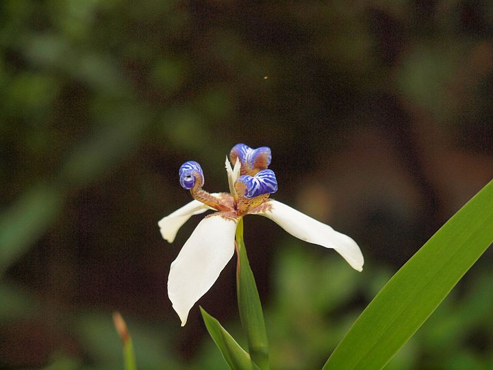 P6039007