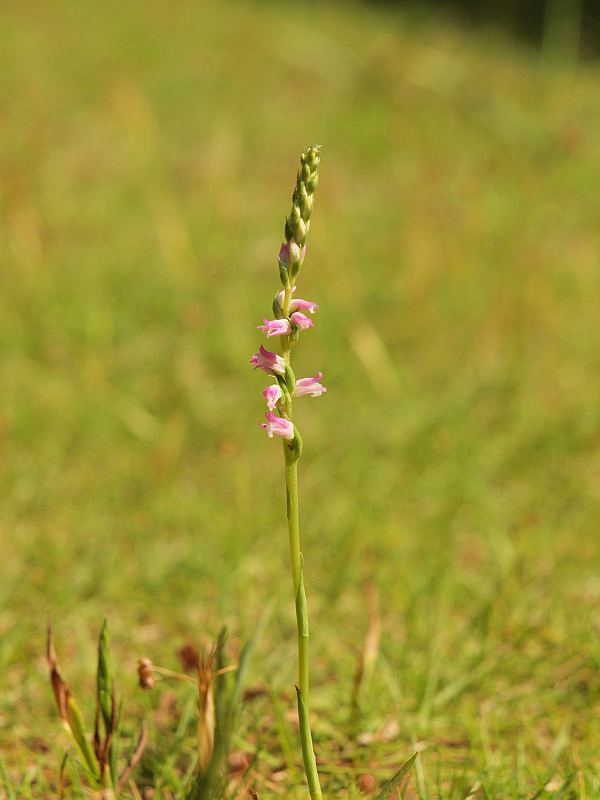 P6140931