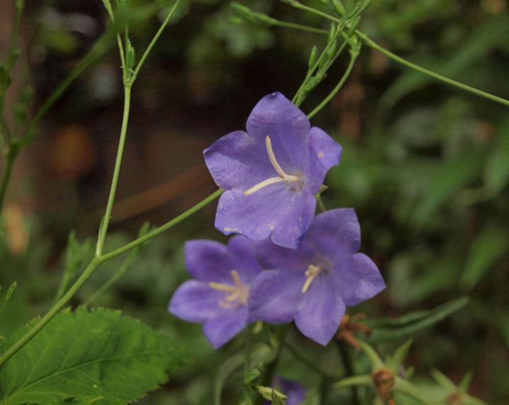 P6150955