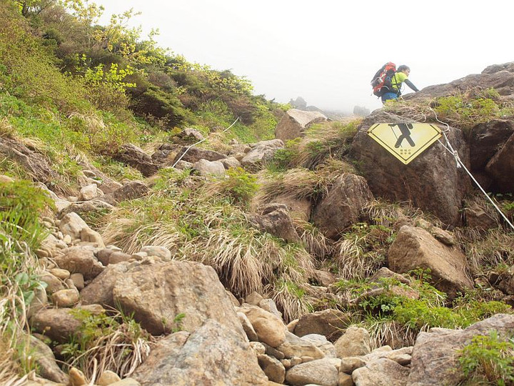 P6090241gorogoromiti