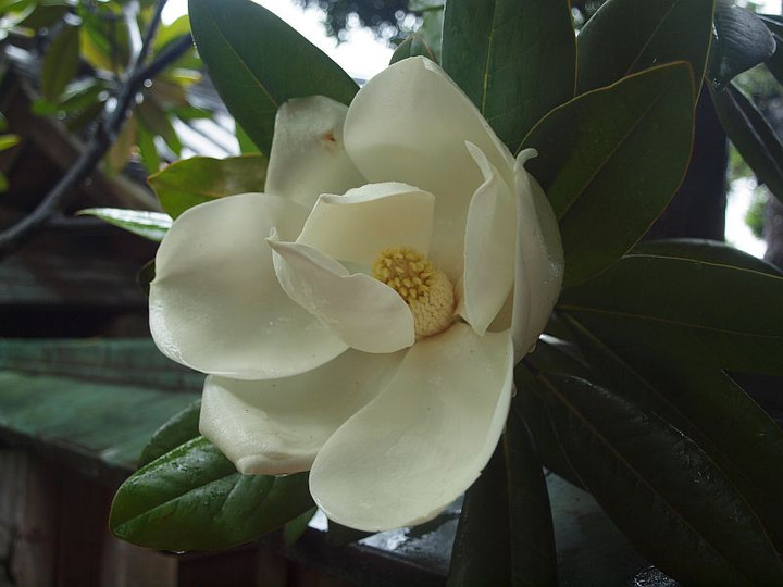 P6191138