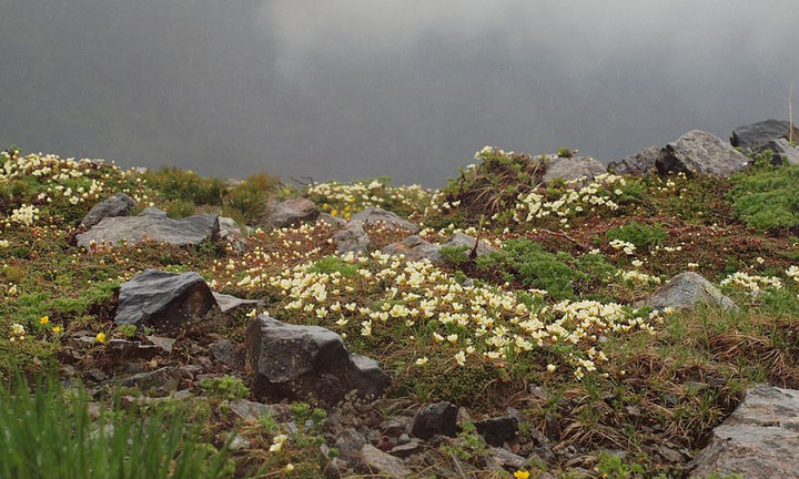 P6090366iwaume_gunnsei_2