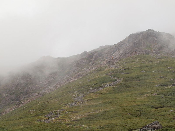 P6090371sanntyouto_kudattekuruhito