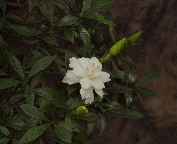 P6241501