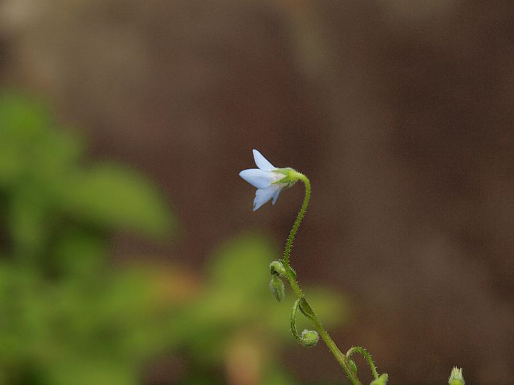 P6301685
