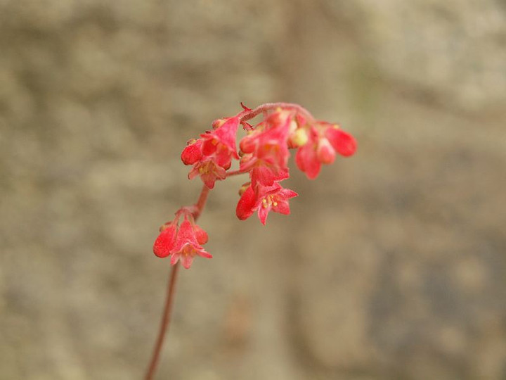 P6301714