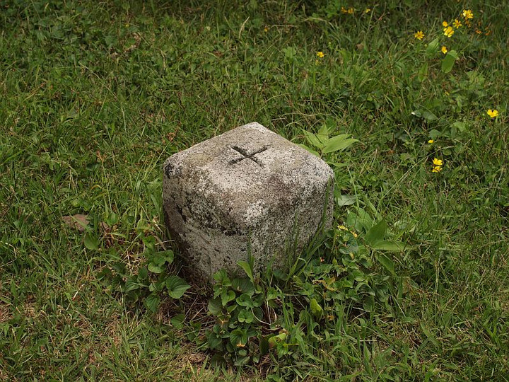 P6231401sannkakutenn