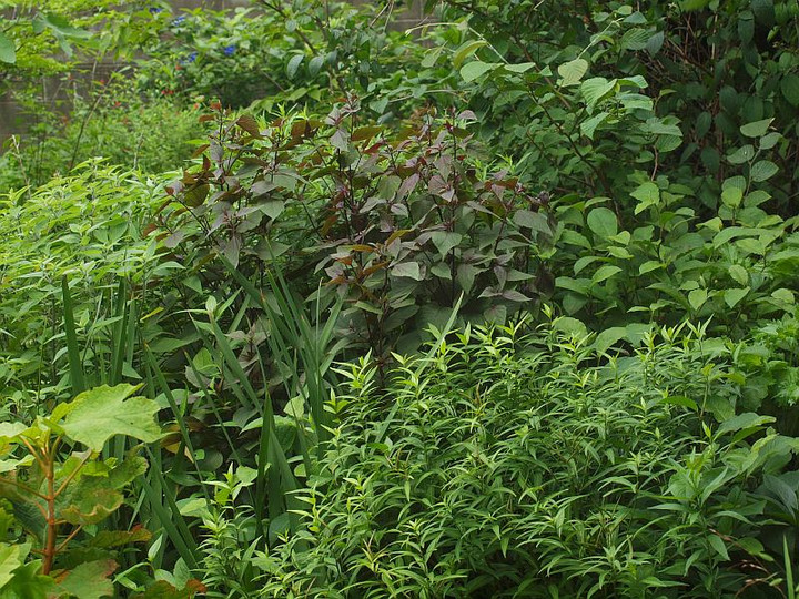 P7072272
