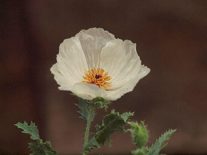 P7122401