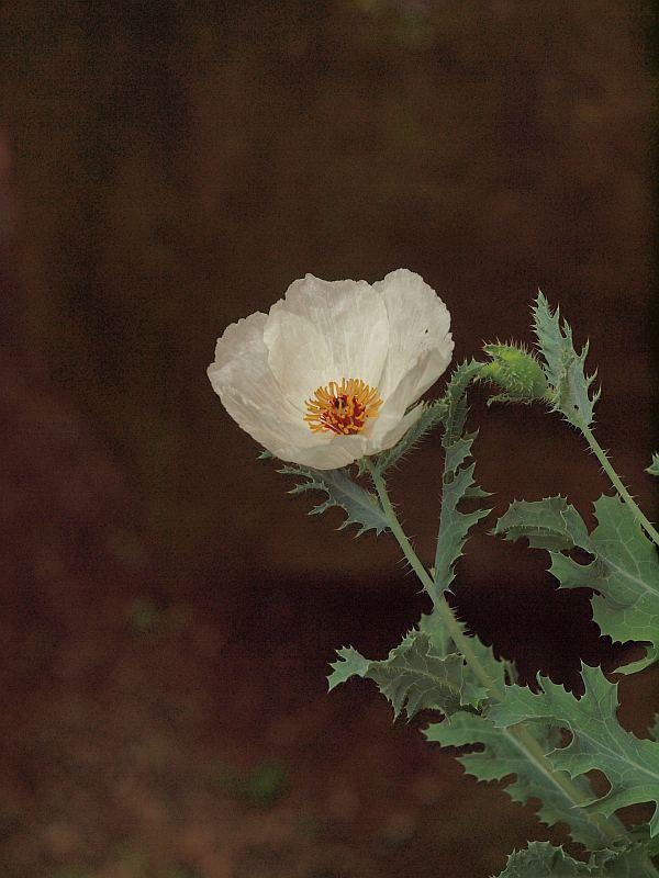 P7122404