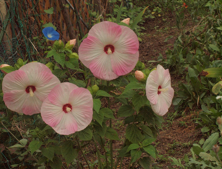 P7122410
