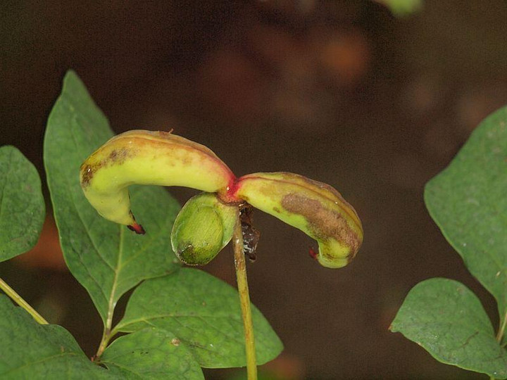 P7122422