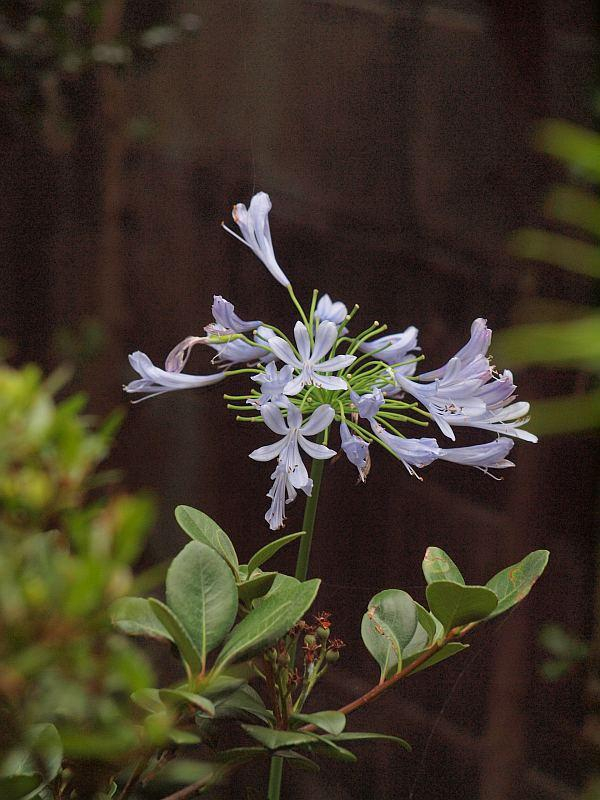 P7132506