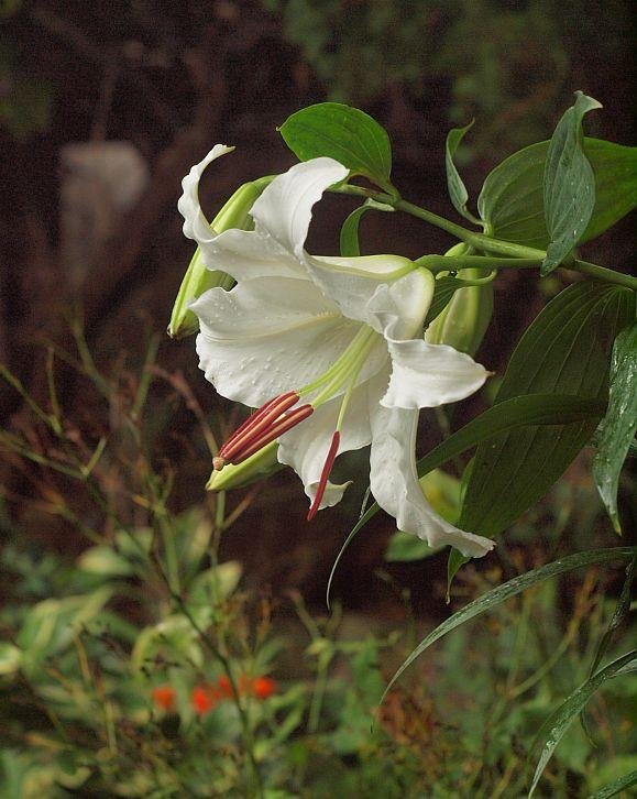 P7144720