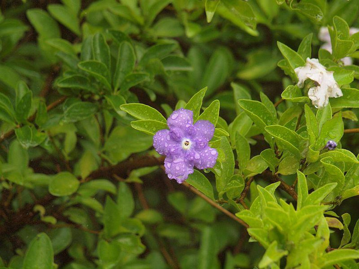 P7144725