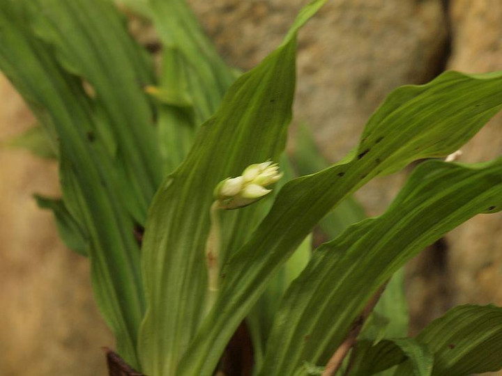 P7245655