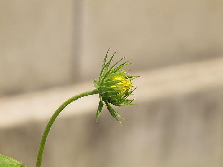 P7255700