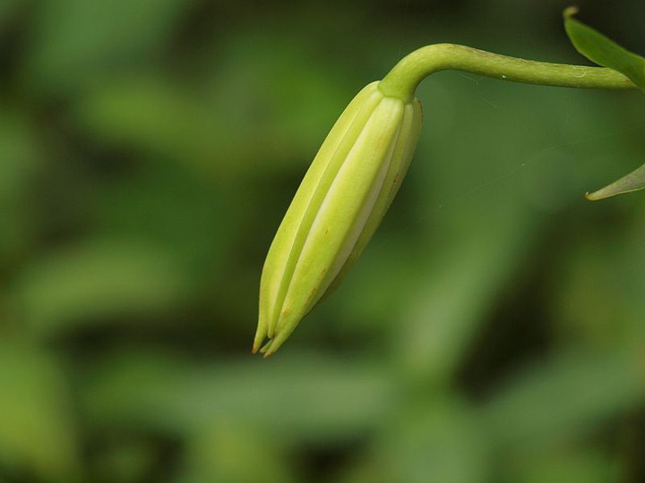 P7305857