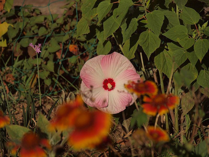 P7315876