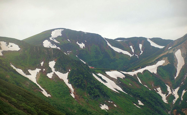 P7205551mitumata_sannsou_ennbou