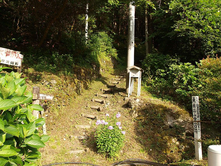 P8096180noborihajime