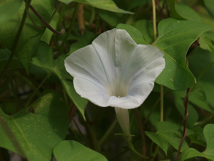 P8156757