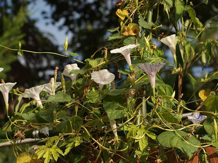 P8206891