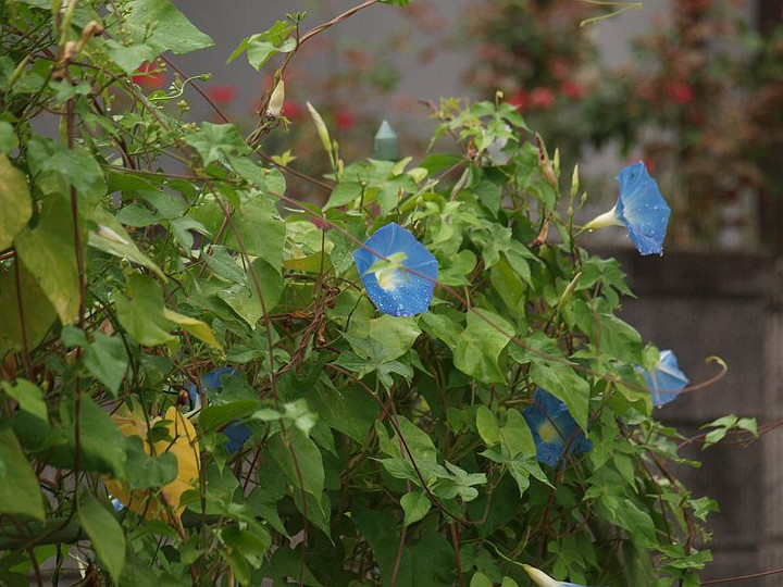 P8226939