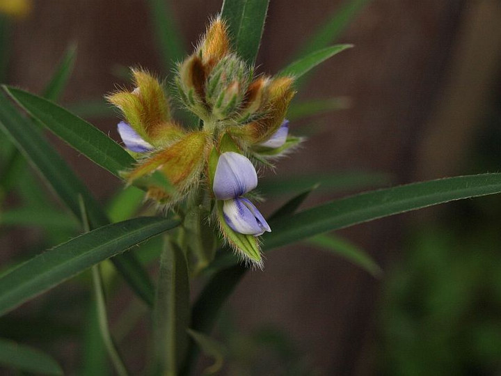 P8226953