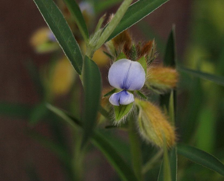 P8226956