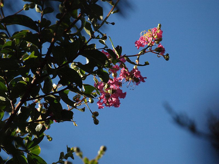 P8247021
