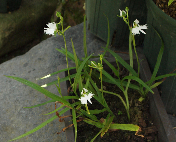 P82470303_2